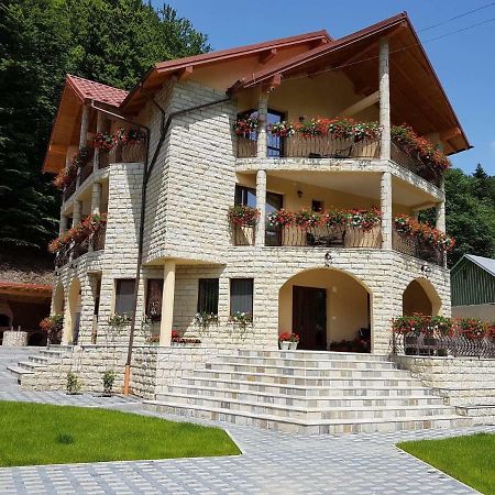 Casa Andra Hotel Slanic Moldova Ngoại thất bức ảnh