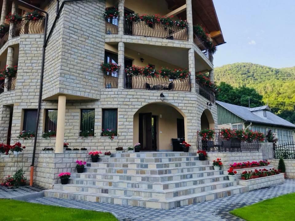 Casa Andra Hotel Slanic Moldova Ngoại thất bức ảnh